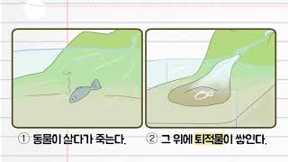 과학 4학년 1학기 2단원 7차시 영상(36-37p)