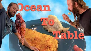 Dangerous and Delicious: Our Exotic Lionfish Adventure | Florida Keys Travel Vlogs