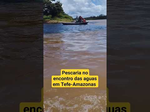 Pescaria no Encontro das Águas entre  Rio Tefé e Rio Solimões em Tefé Amazonas #pesca #fishing #agro