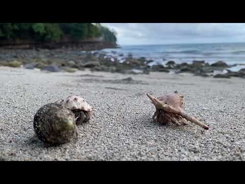 Playa La Caleta Bataan