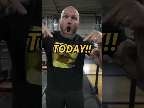 Top 4 Exercises for Lower Back Strength #shorts