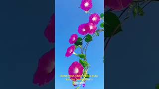 Download lagu Kenangan Yang Manis Dulu (Jhon Seran) mp3 Download lagu Kenangan Yang Manis Dulu (Jhon Seran) mp3