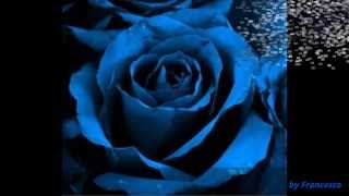 Al Di Meola ~ Orient blue