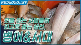 맛 좀 아는 사람들이라면, 병어와 서대 [어영차바다야다시보기]