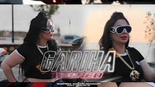 Cheba warda tchikou 22 gariha tebrad و نتا آخر همي official music video 2024