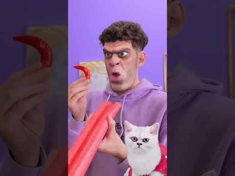 Ha ha When The Cheating Went Wrong #shorts #reverse #funny #cute #cat #reaction #shortvideo #comedy