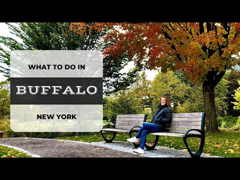 image-Does New York have a theme park?