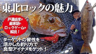 【東北ロックの魅力】／ターゲットの習性を活かした釣り方で良型アイナメをゲット