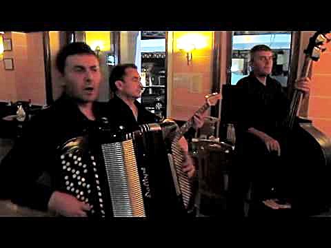 Rastao sam pored Dunava - Zoran Jankovic Jane