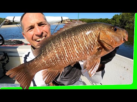 2nd Day boat camping - GT - Trout - Jacks - Topwater eats - EP.578