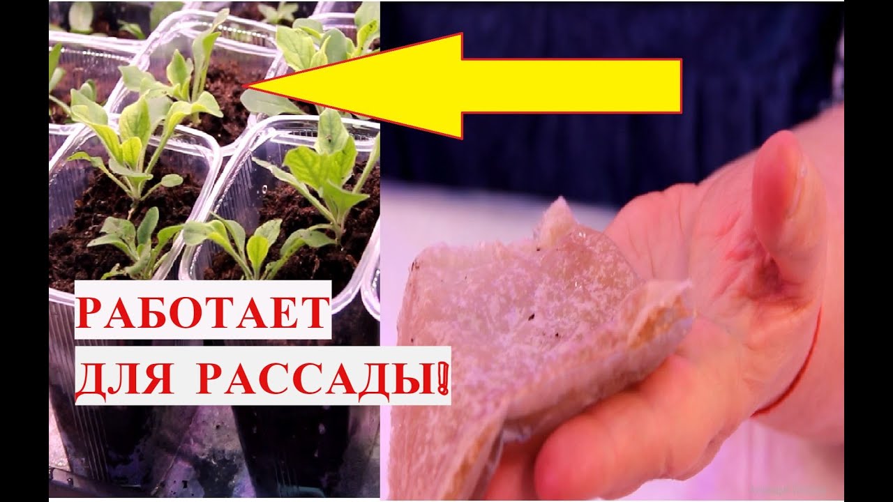 Беру свои слова обратно! Памперсы - Этот способ действительно работает - проверено!