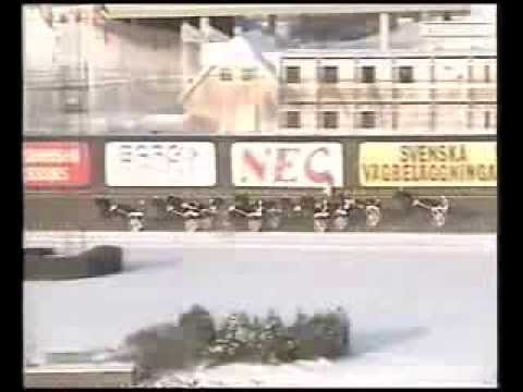 Gulddivisionen Final Solvalla 1991 -Mack Lobell
