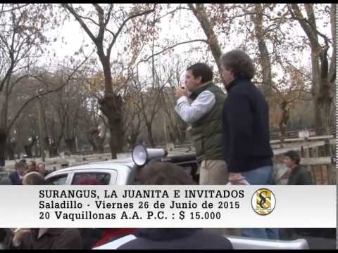 26-06-15 Venta de Vaquillonas A.A .P.C. - Surangus e Invitados - Saladillo