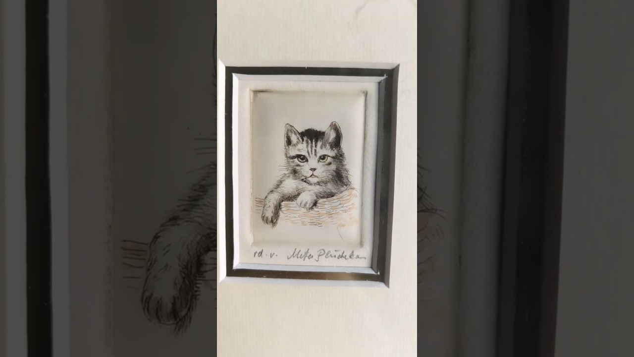 An engraving of a kitten by German artist Meta Pluckebaum 🐱 #shorts #cat #art #metapluckebaum #frame