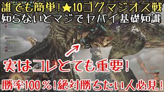 【モンハンワイルズ】★10 ゴグマジオス戦ソロ 属性ヘビィ徹底解説【ゆっくり実況】