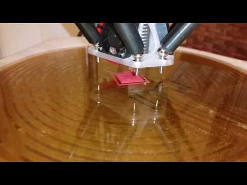 Delta Printer's First Print!