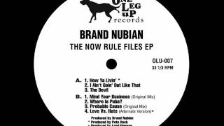 Brand Nubian - Probable Cause