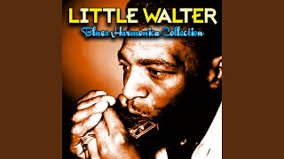 Me And My Chauffeur Blues