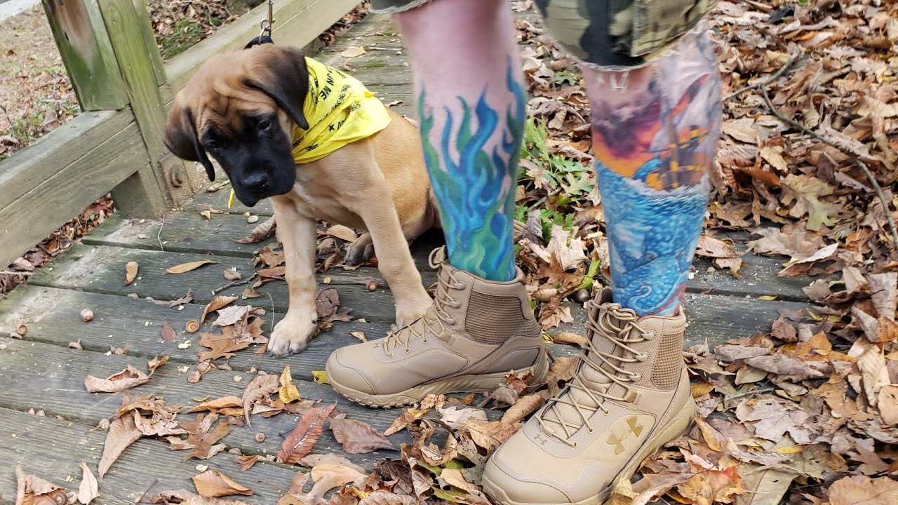 Under Armour Valsetz RTS 1.5 Boots