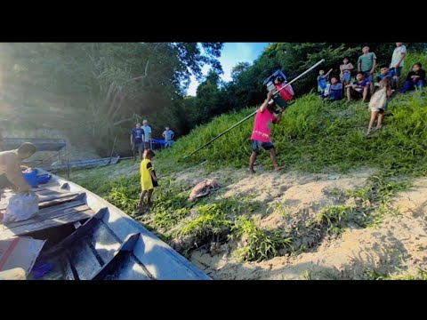  ALDEIA INDÍGENA(ISOLADO)na Amazônia (aldeia batedor)(JUTAÍ AMAZONAS)episódio(01)