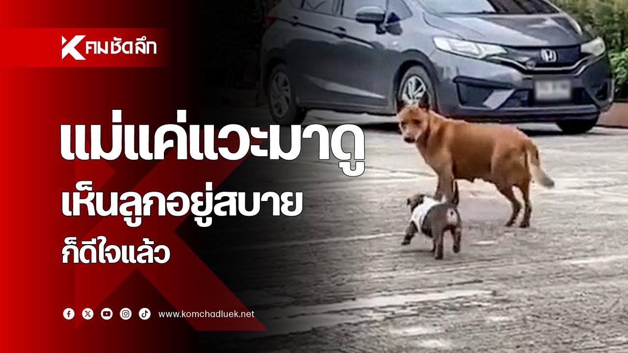 แม่แค่แวะมาดู เห็นลูกอยู่สบายก็ดีใจแล้ว