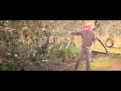 Trailer-Vorschau: Spring - Love is a Monster