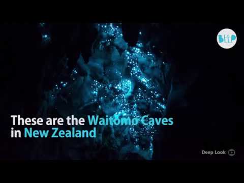 Blackwater Rafting nas Cavernas Glow Worm de Waitomo na Nova Zelândia