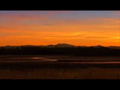 (Free$beats Blend) HIFI Banda feat  Pyskaty Numer Raz Kaszalot Rak Raczej Tede   Puszer RMX 1