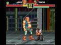Art Of Fighting