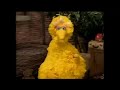 Sesame Street Big Bird Eating A Peach