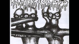 Agathocles - Labelisation