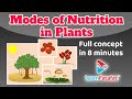 Class 7 Science Chapter 1 Nutrition In Plants Modes Of Nutrition In Plants CBSE Learnfatafat