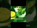 HErE KiTtY YoU CaN HaS ChEeSeBuRgEr WaAaAaAaA Repost Foryou Memes 4u