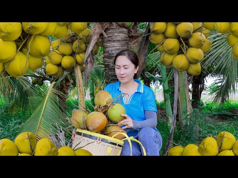 Harvest Coconut Fruit Goes to the Market Sell | Emma Daily Life