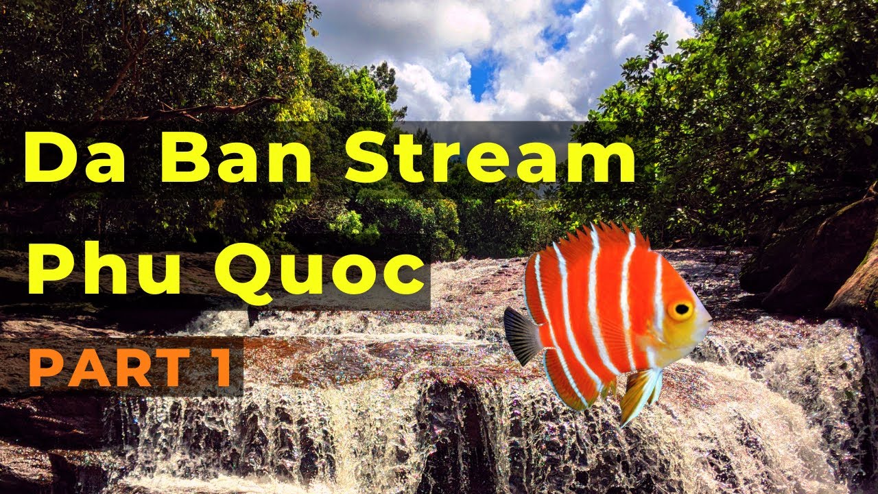 Experience a fascinating peek of Da Ban Stream.