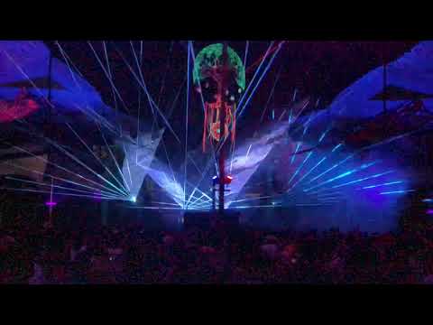 Árvore da Vida 2019 - Chuva de psicodelia com Becker!