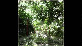 KOBE on SHIKAO SUGA "HAKOU"