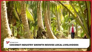 Coconut industry growth revives local livelihoods | Vietnam Today
