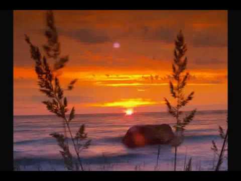 Ingsha - Niavara (Manuel Le Saux & Original Steven Maar Mashup)