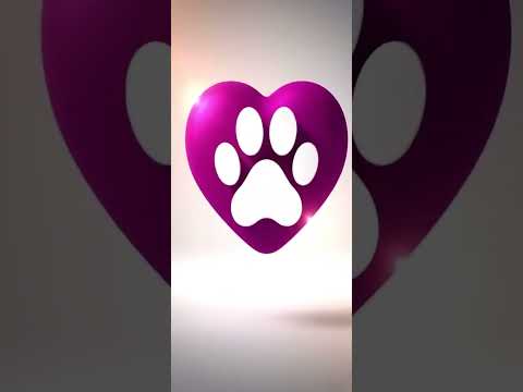 Vídeo de Spike,  Luna e Pandora