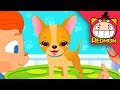 Save the Chihuahua! | Mark's Animal Clinic | Cartoon for toddlers | REDMON