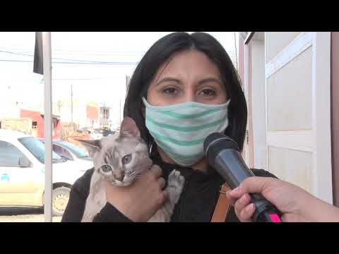 Portada video