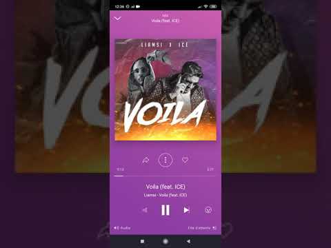 Liamsi - Voila ( feat ICE )