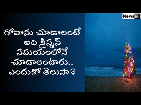 goa specialty for christmas celebrations