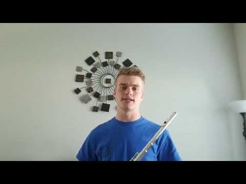 Yamaha YFL-200AD II Advantage Flute 2010s - Silver image 6