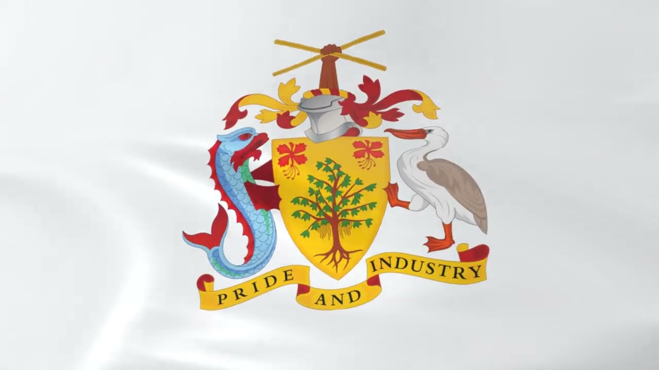 Coat of arms of Barbados - Flag Stock Illustration
