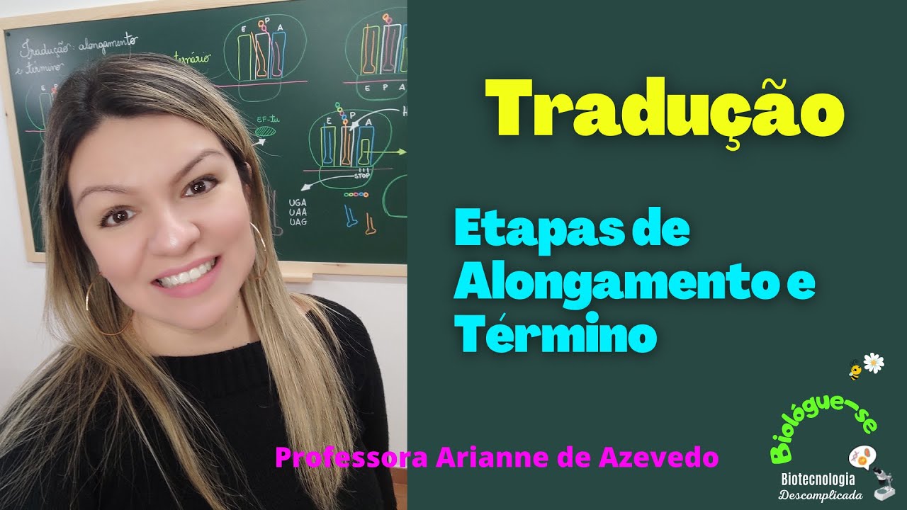 Traduçāo (síntese protéica): Etapas de Alongamento e Término