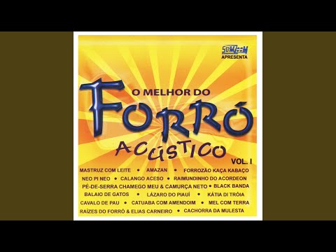 Brincar de Amar (Acústico)