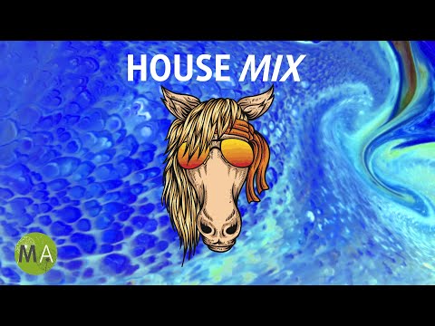 Upbeat Study Music House Mix - Peak Focus Beta Wave Isochronic Tones