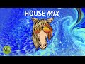 Upbeat Study Music House Mix - Peak Focus Beta Wave Isochronic Tones